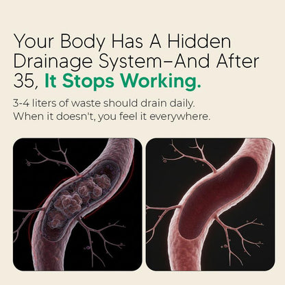 Sculptique Lymphatic Drain Capsules